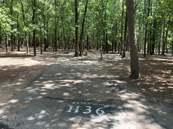 H36