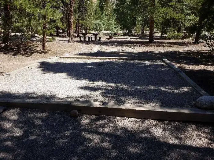 C008