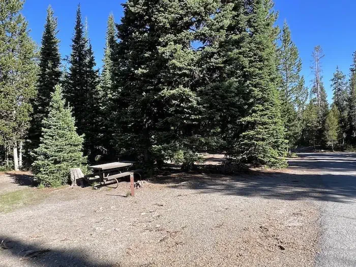 Lewis Lake site #41