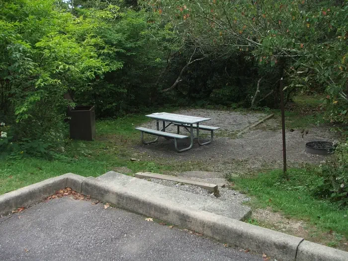 D04