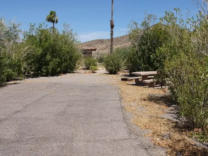 Site 24