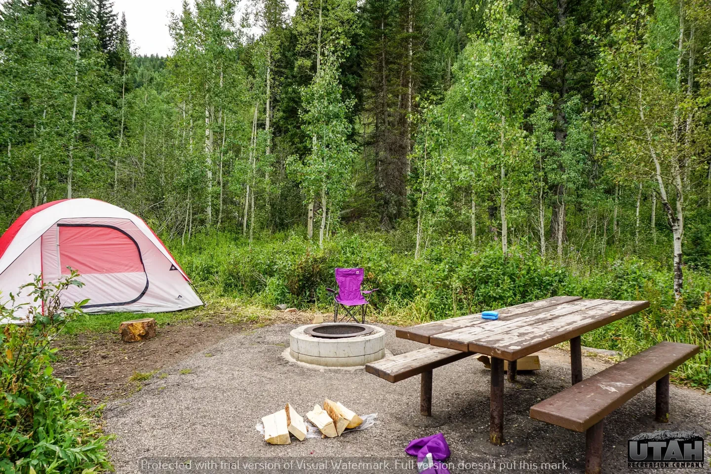 050