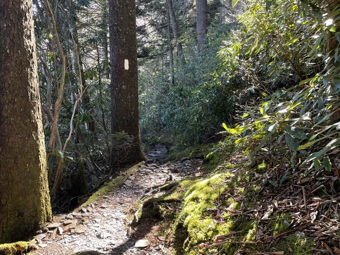 Appalachian Trail Thru Hiker Permit