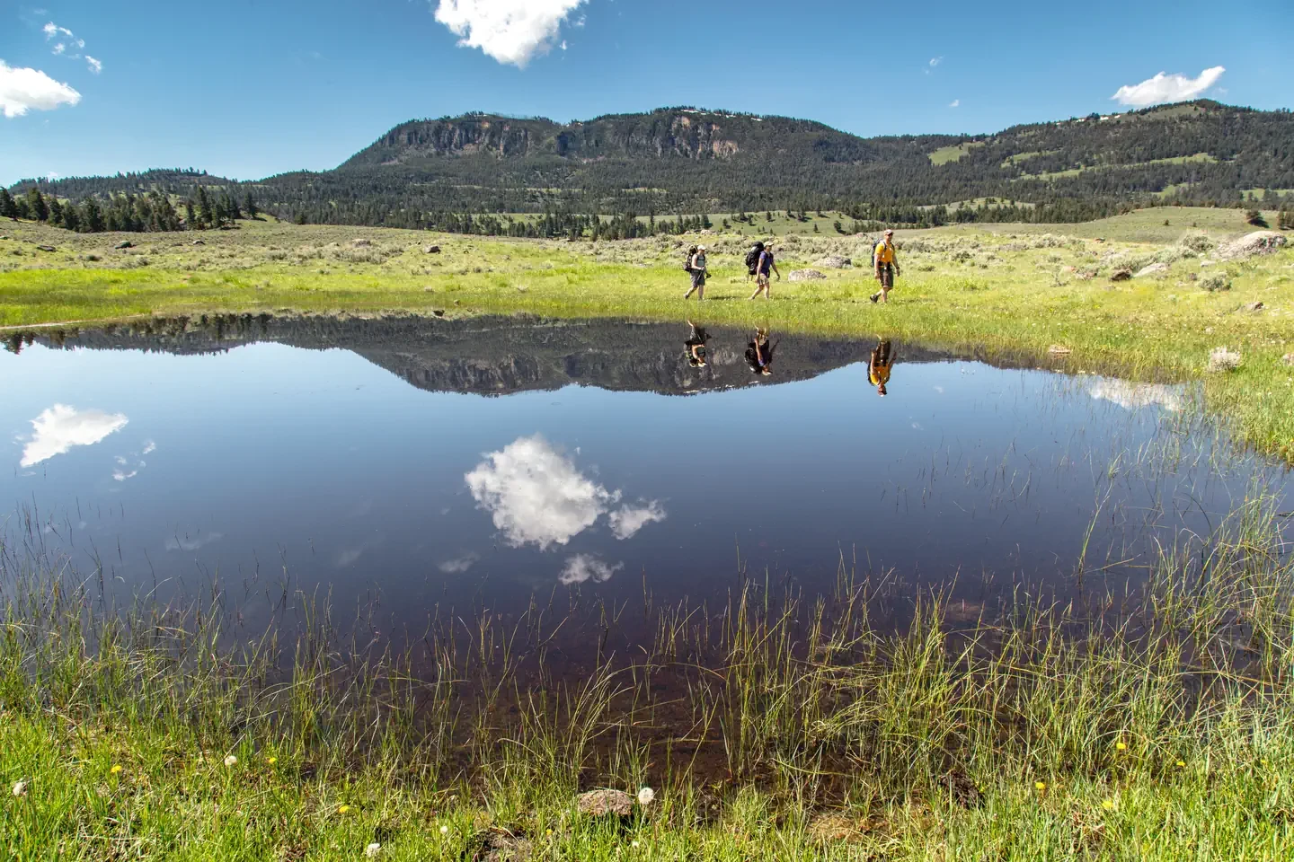 Yellowstone National Park Backcountry Permits