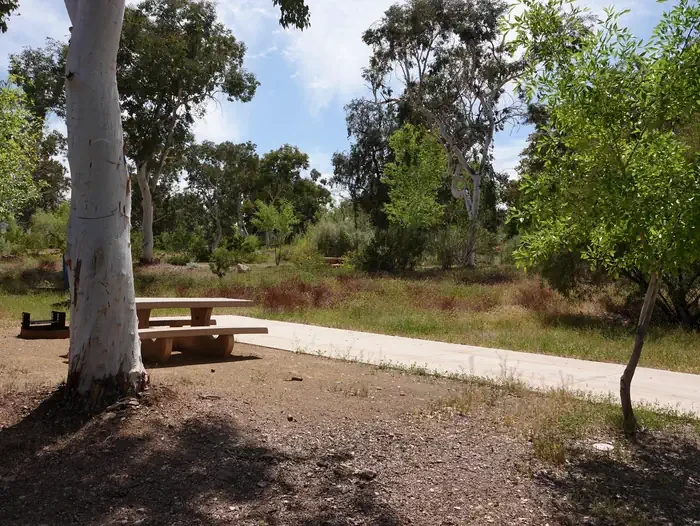 Site 60