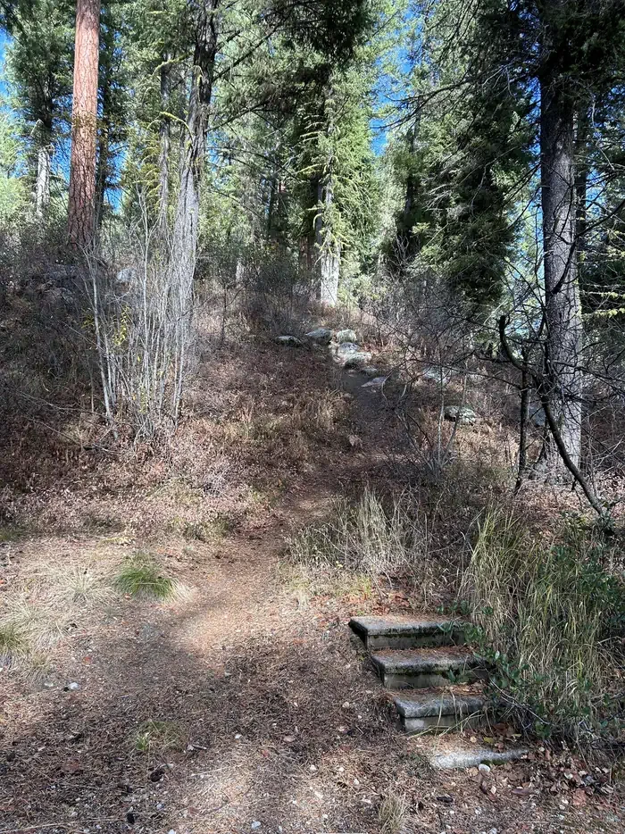 Bad Bear Campground