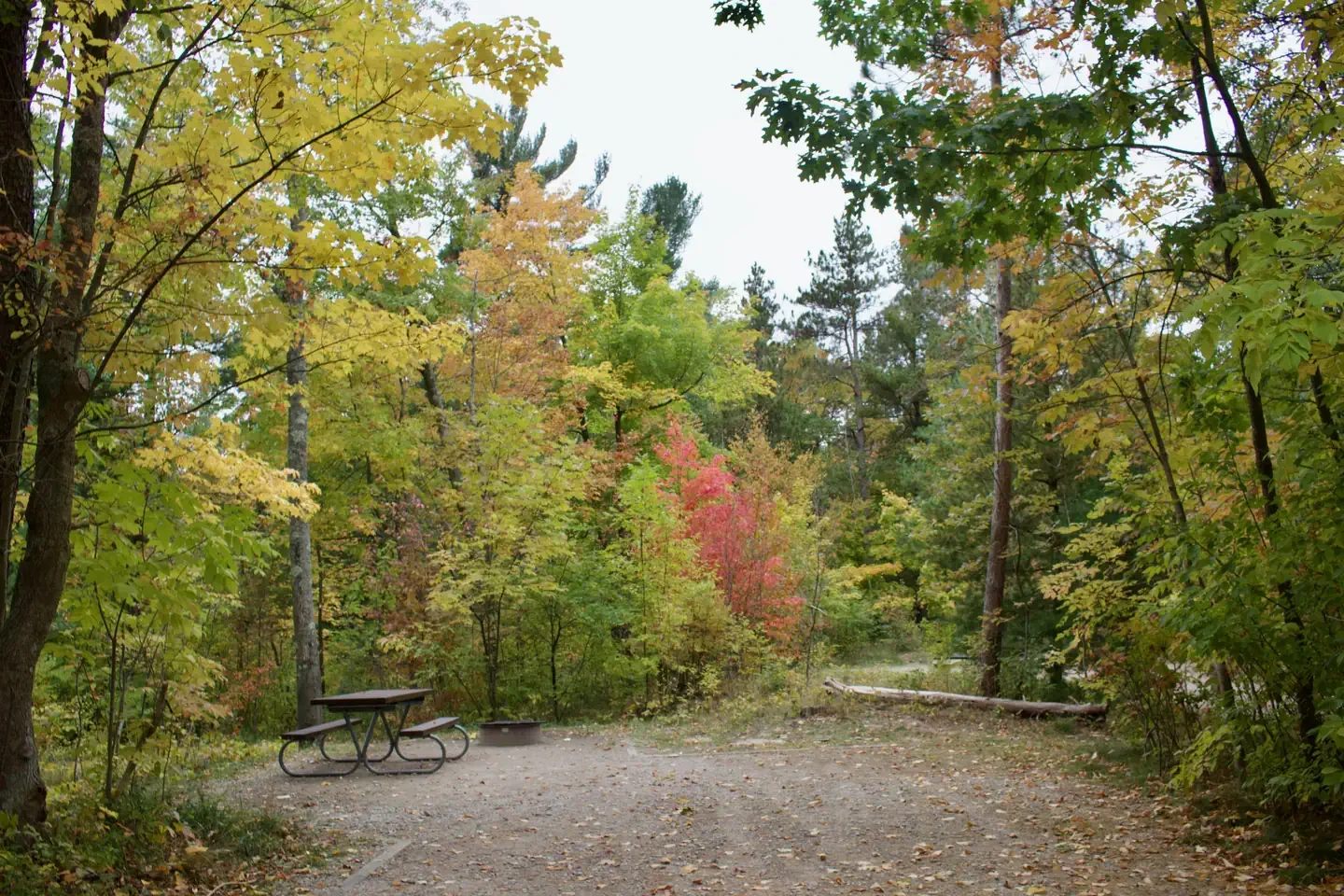 73
