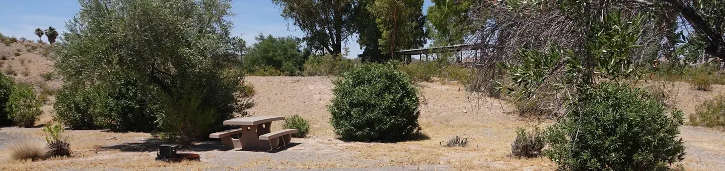 Site 1