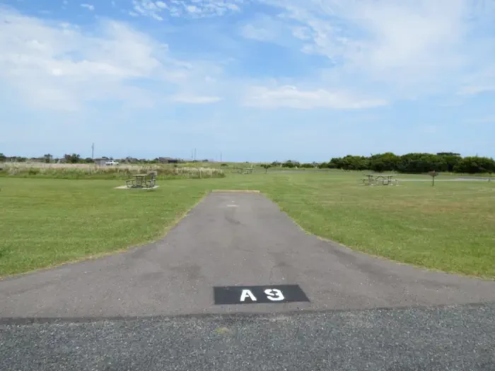 A009