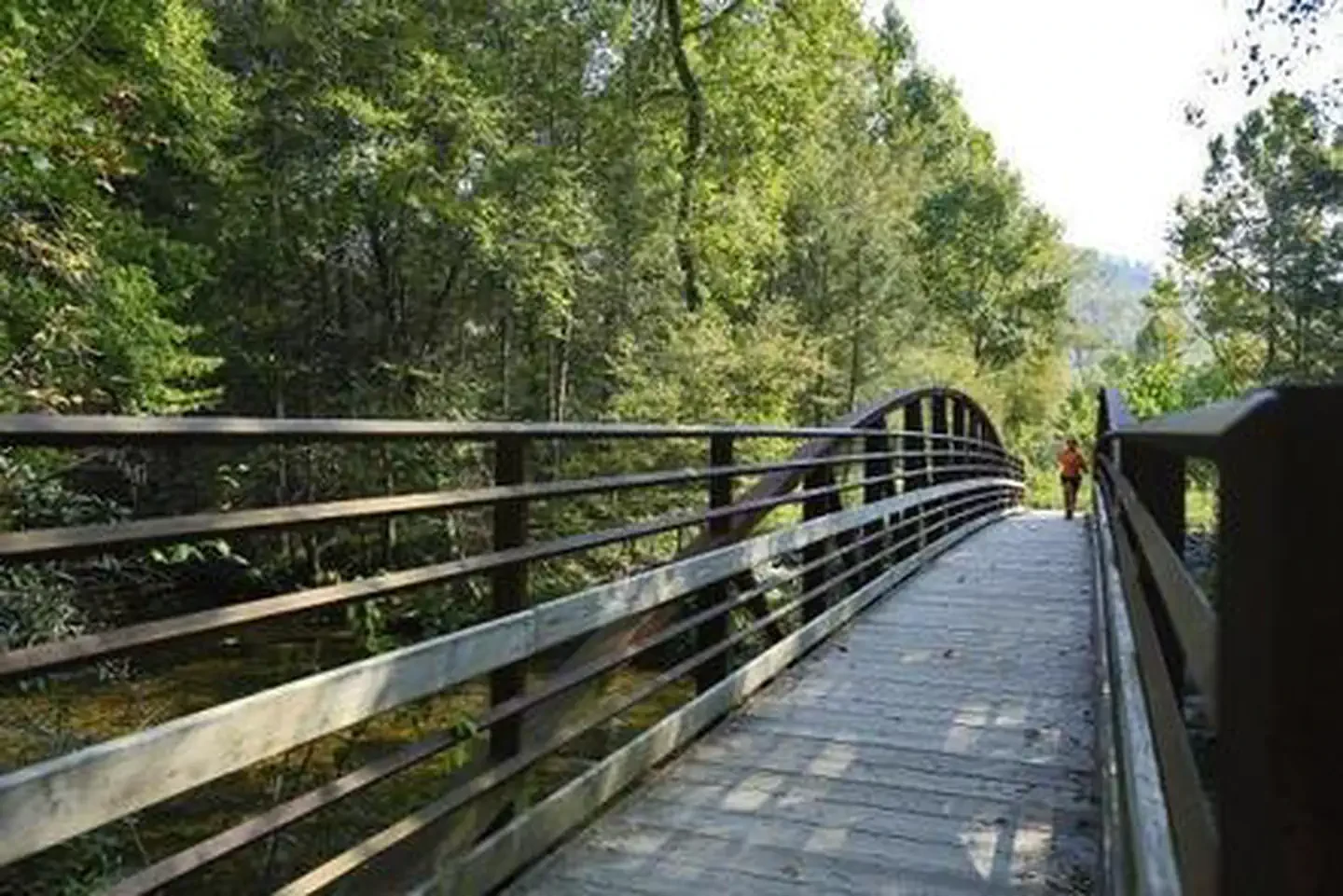 Davidson River