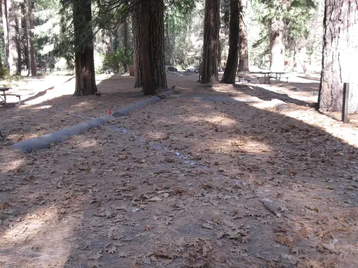 314