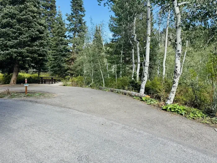 B37