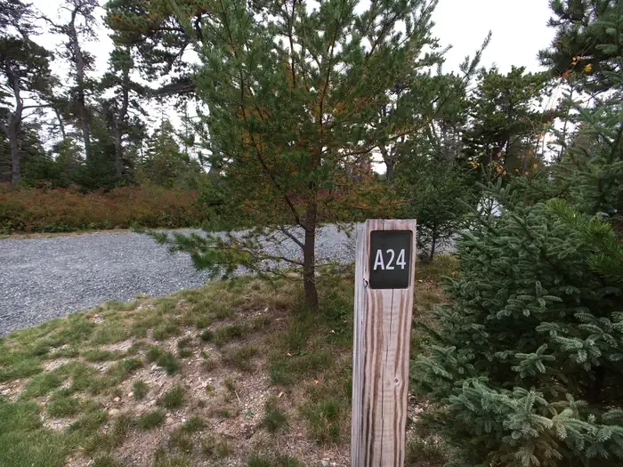 A24