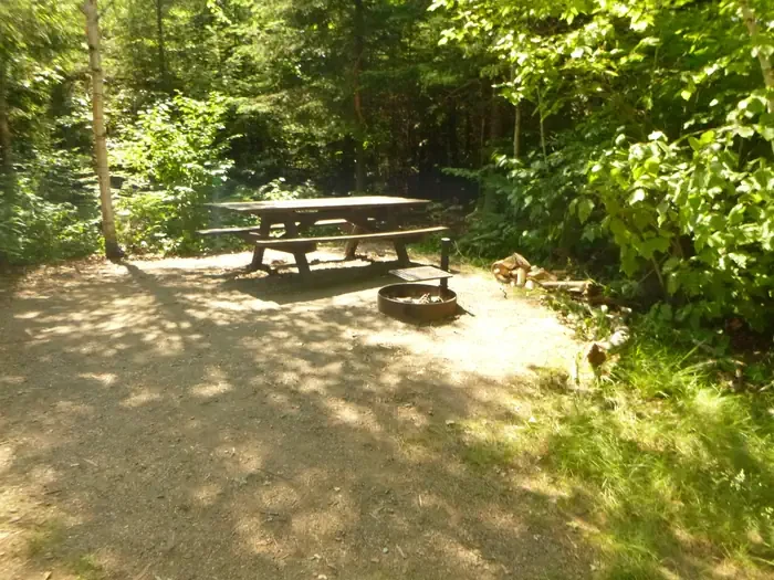 Tamarac Cabin