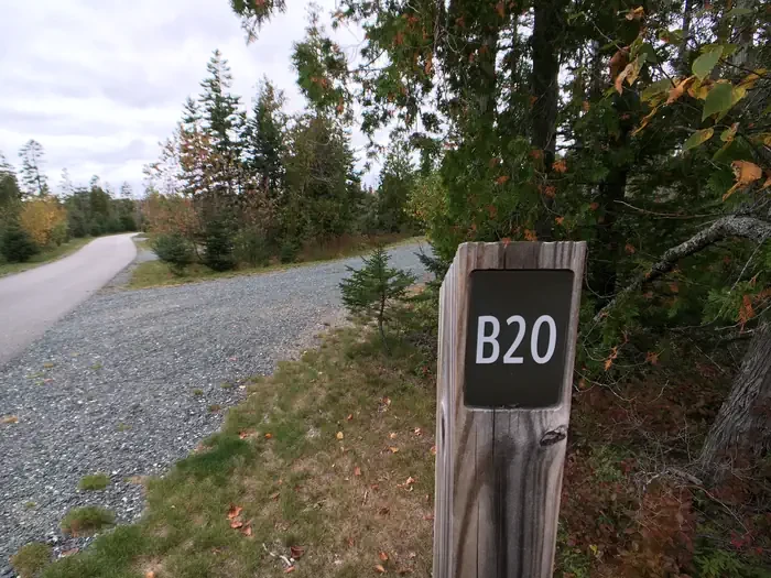 B20
