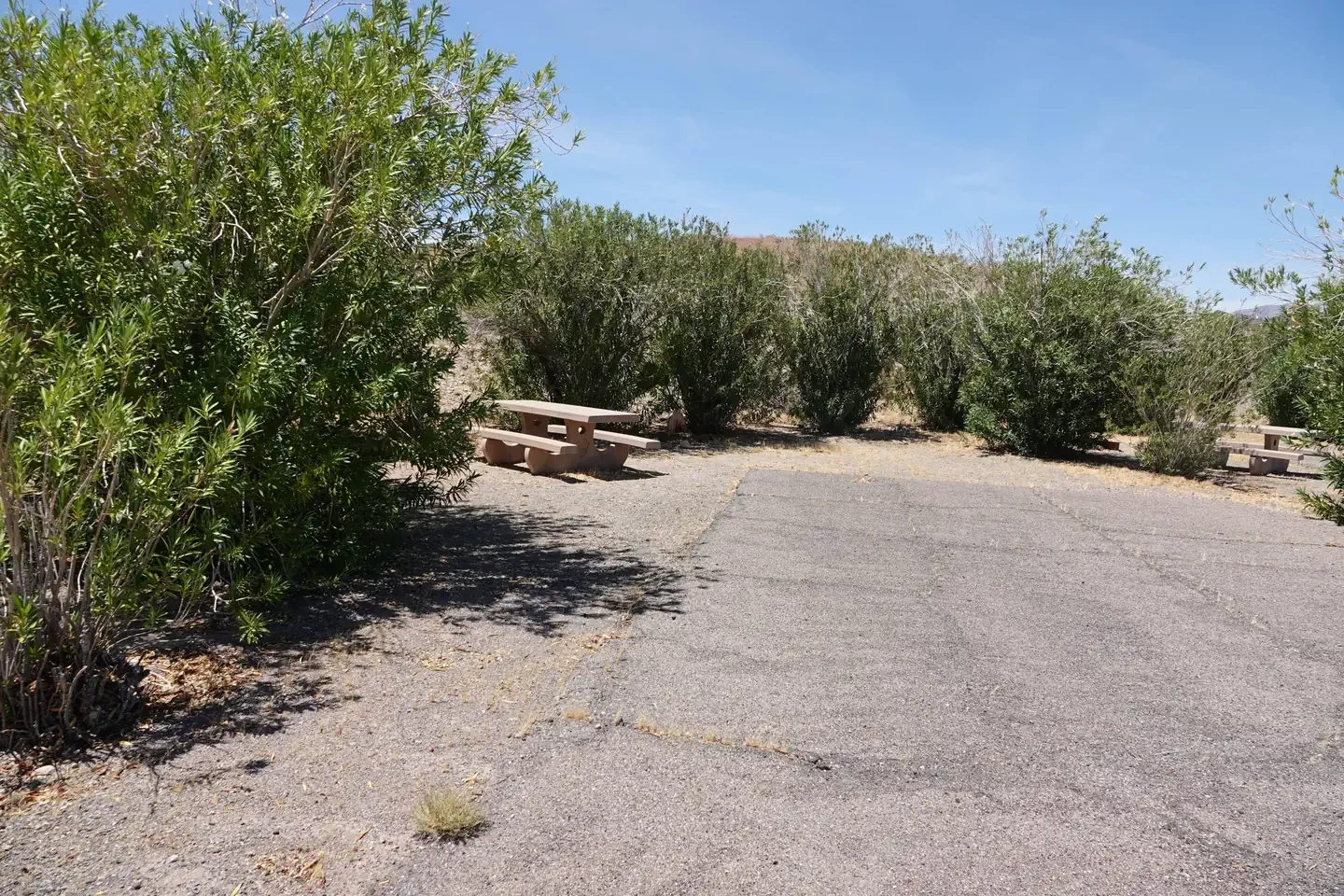 Site 15