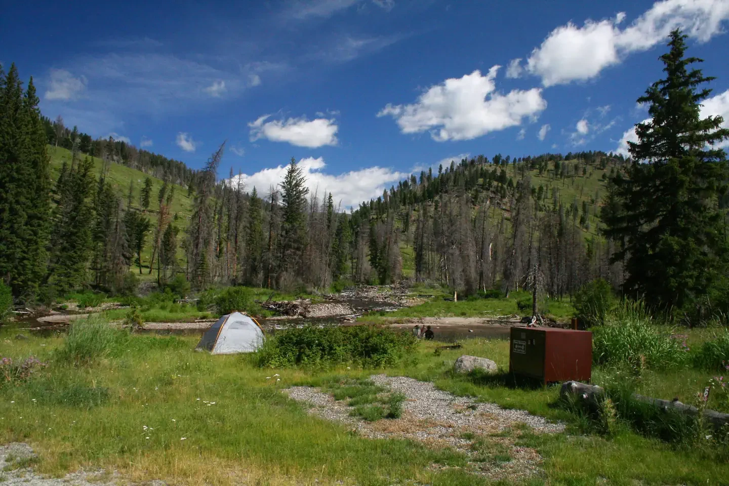 Slough Creek site #6