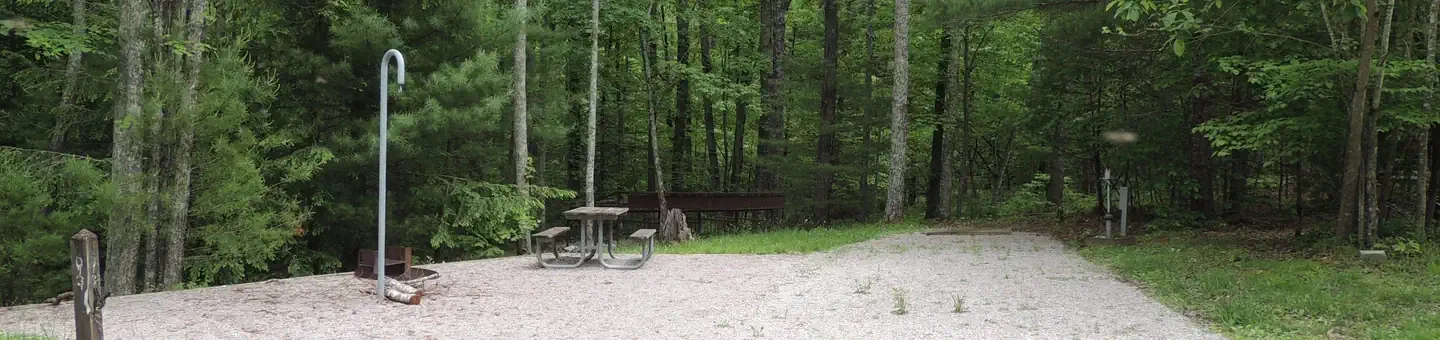 3 (with new paddock)