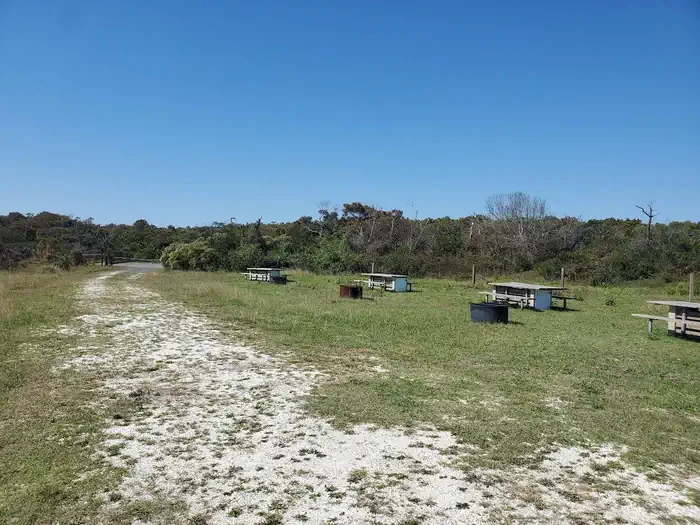 Horse Camp - A