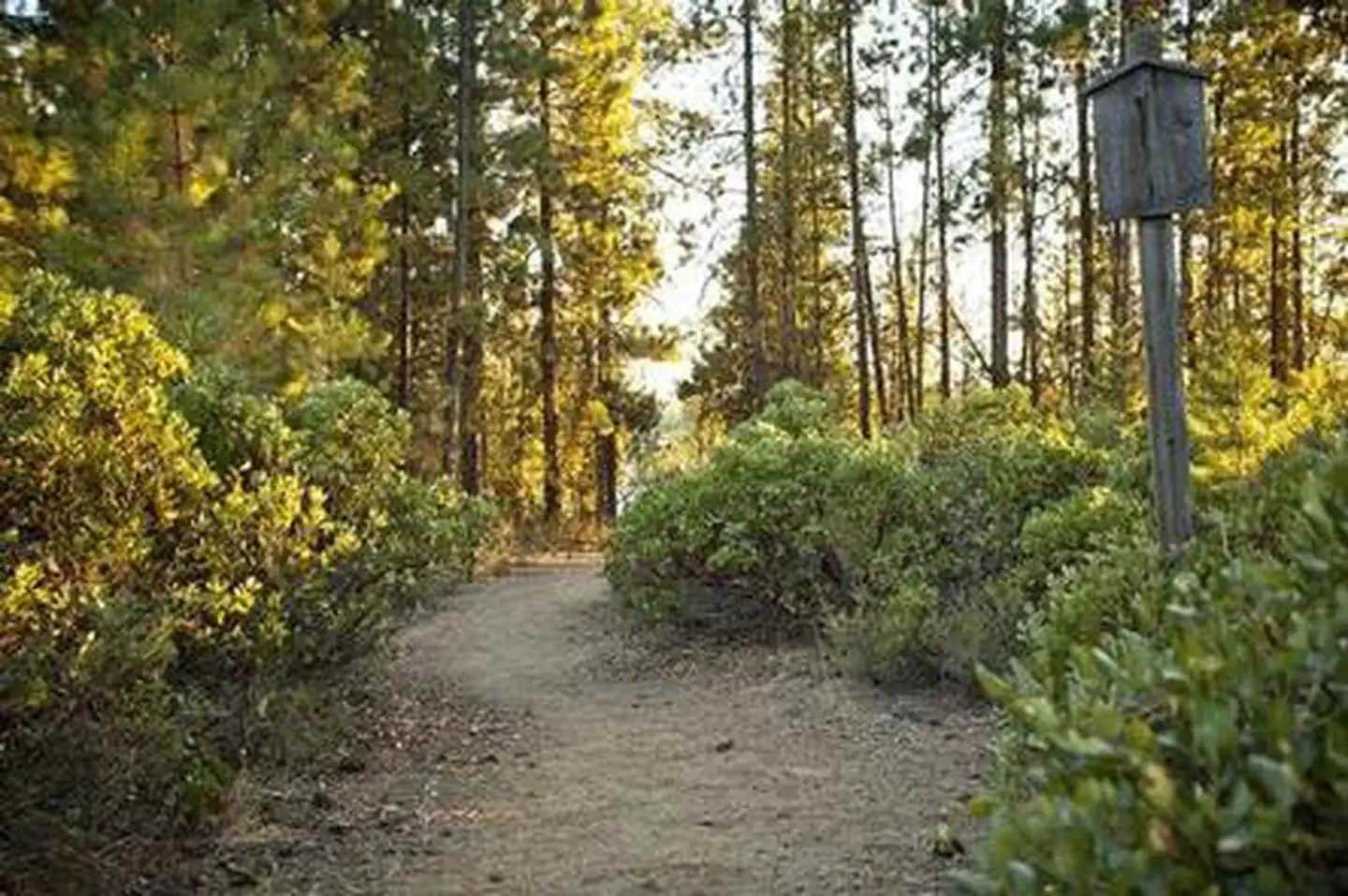 West South Twin Campground