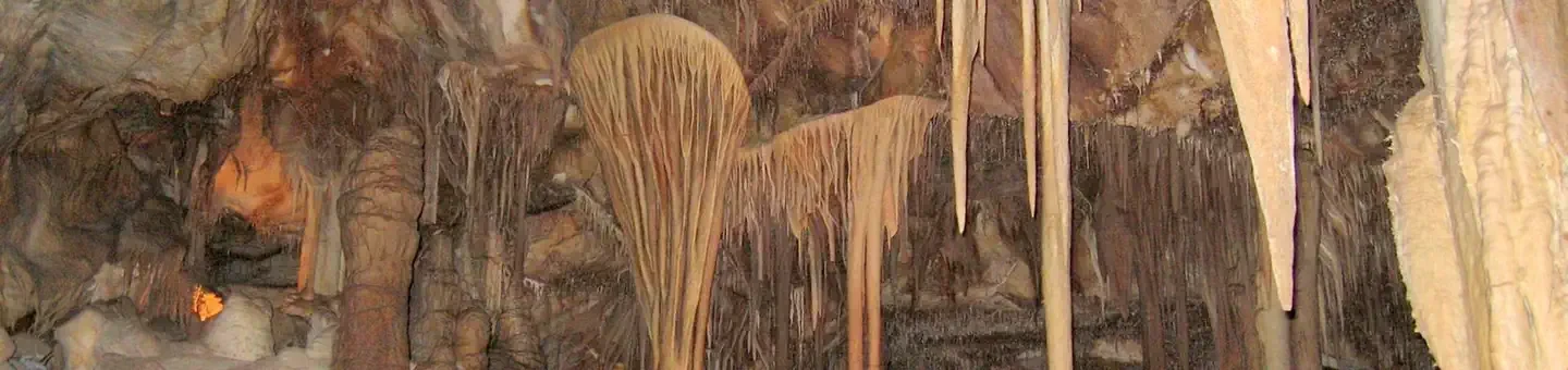 Lehman Caves Tours