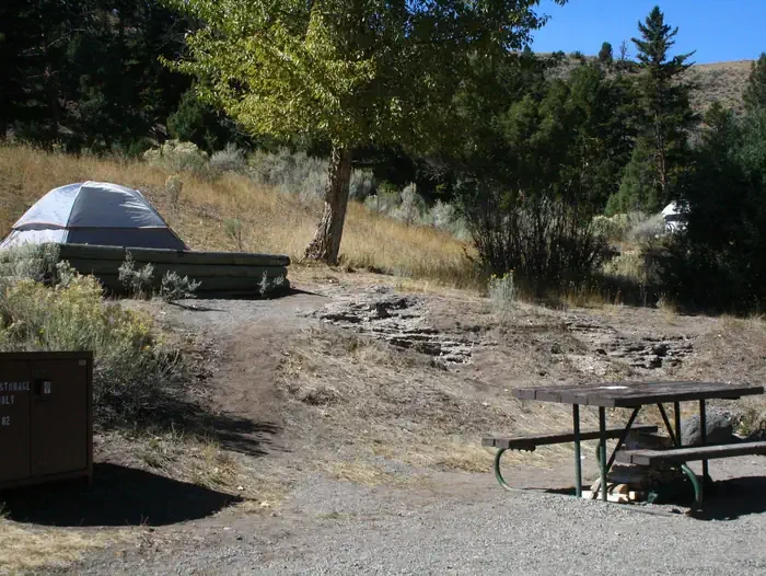 Mammoth site #82
