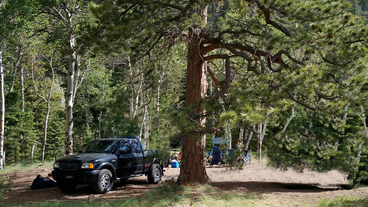 Medano Pass Primitive Road Campsites
