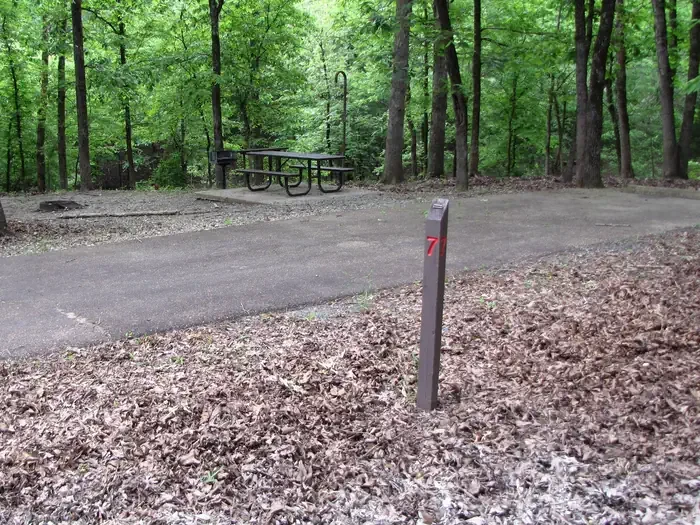 Site 7