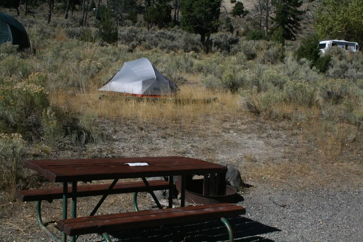 Mammoth site #7