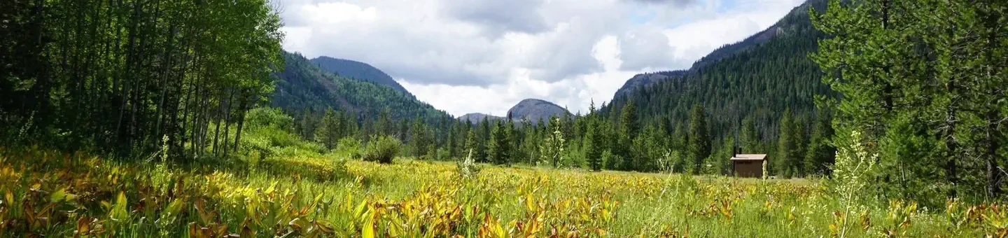Ledgefork