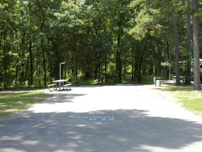N22