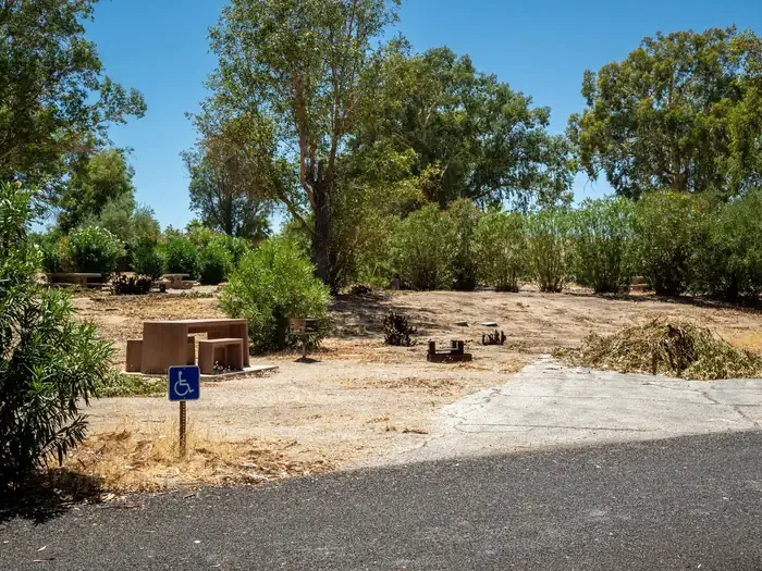 Site 7