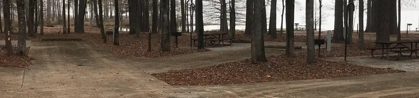 050
