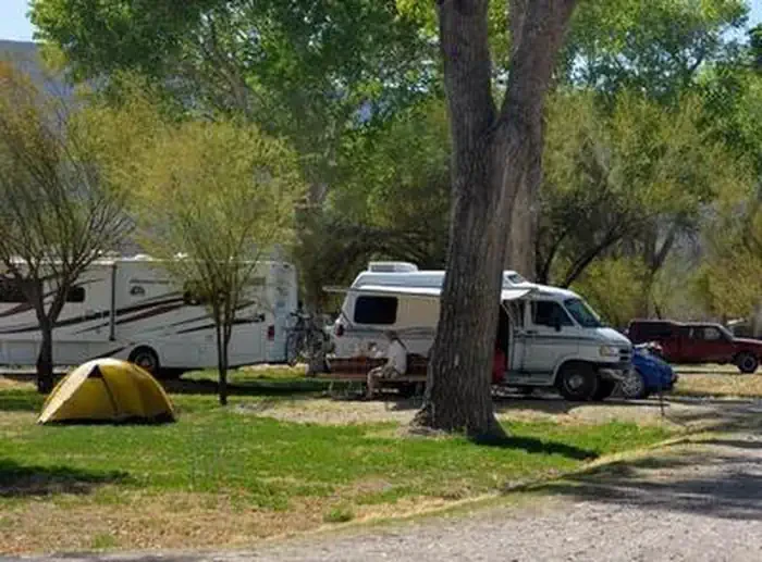 Cottonwood (Big Bend, TX)