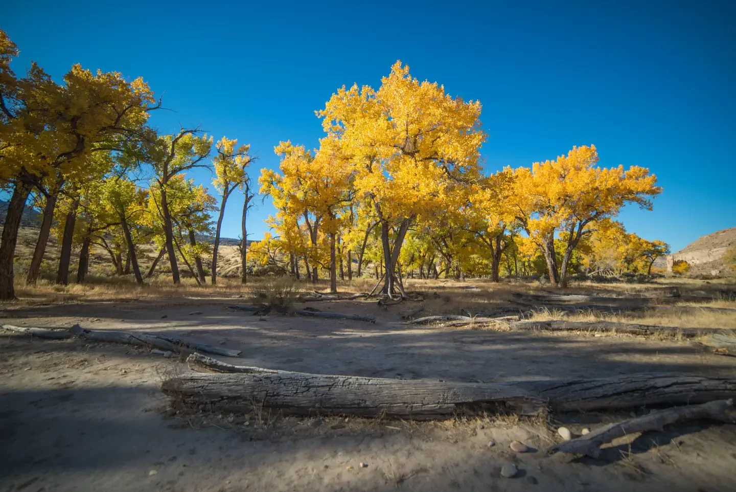 Ruby Horsethief Canyon Permits