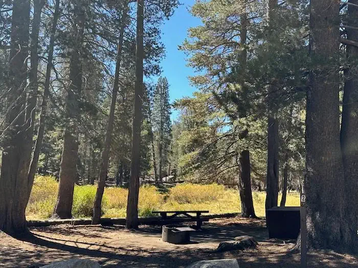 Big Meadow Campground - US Forest Service Sequoia National Forest (CA)