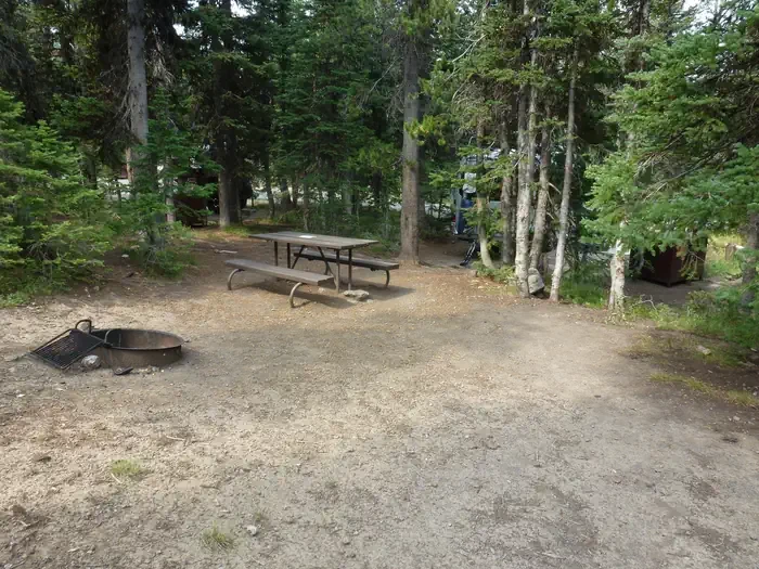 Lewis Lake site #25