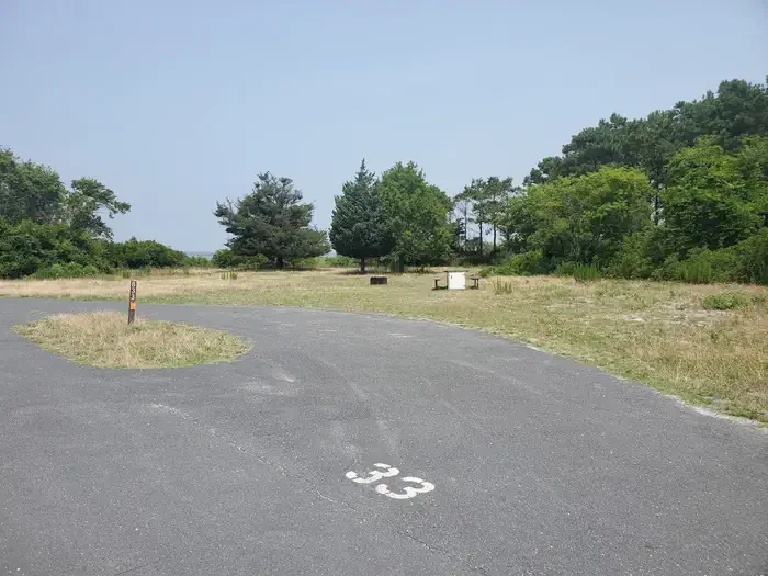 B33