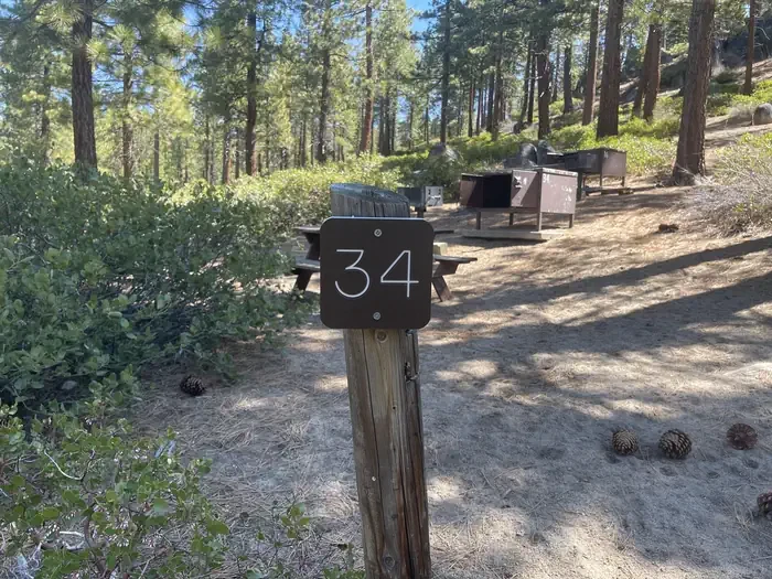 34