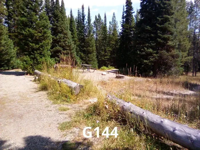 144
