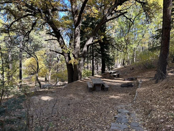 Upper Arcadia Double Site