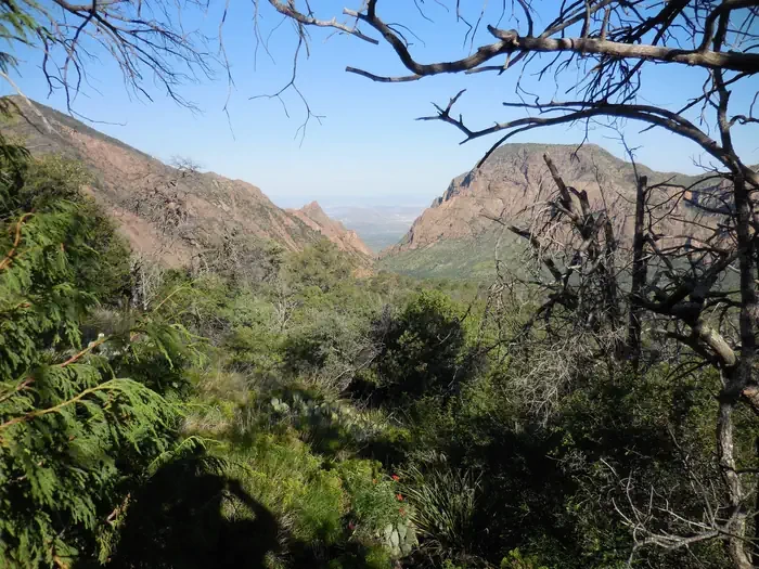 Juniper Flat 1