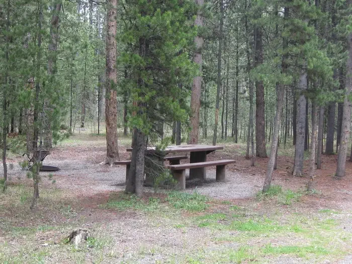 A13