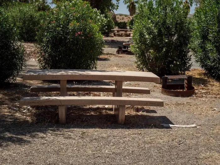 Site 38