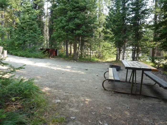 Lewis Lake site #79