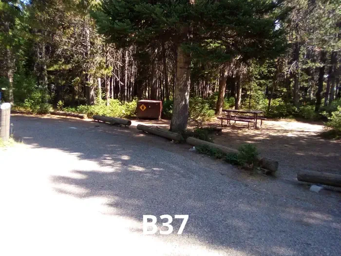 37