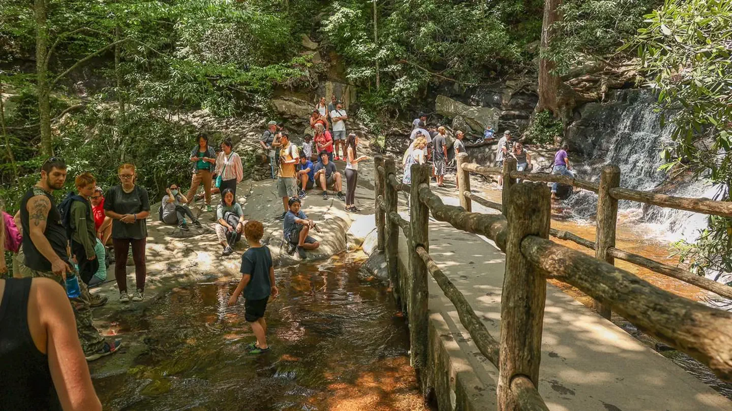 Great Smoky Mountains National Park Vehicle Reservations