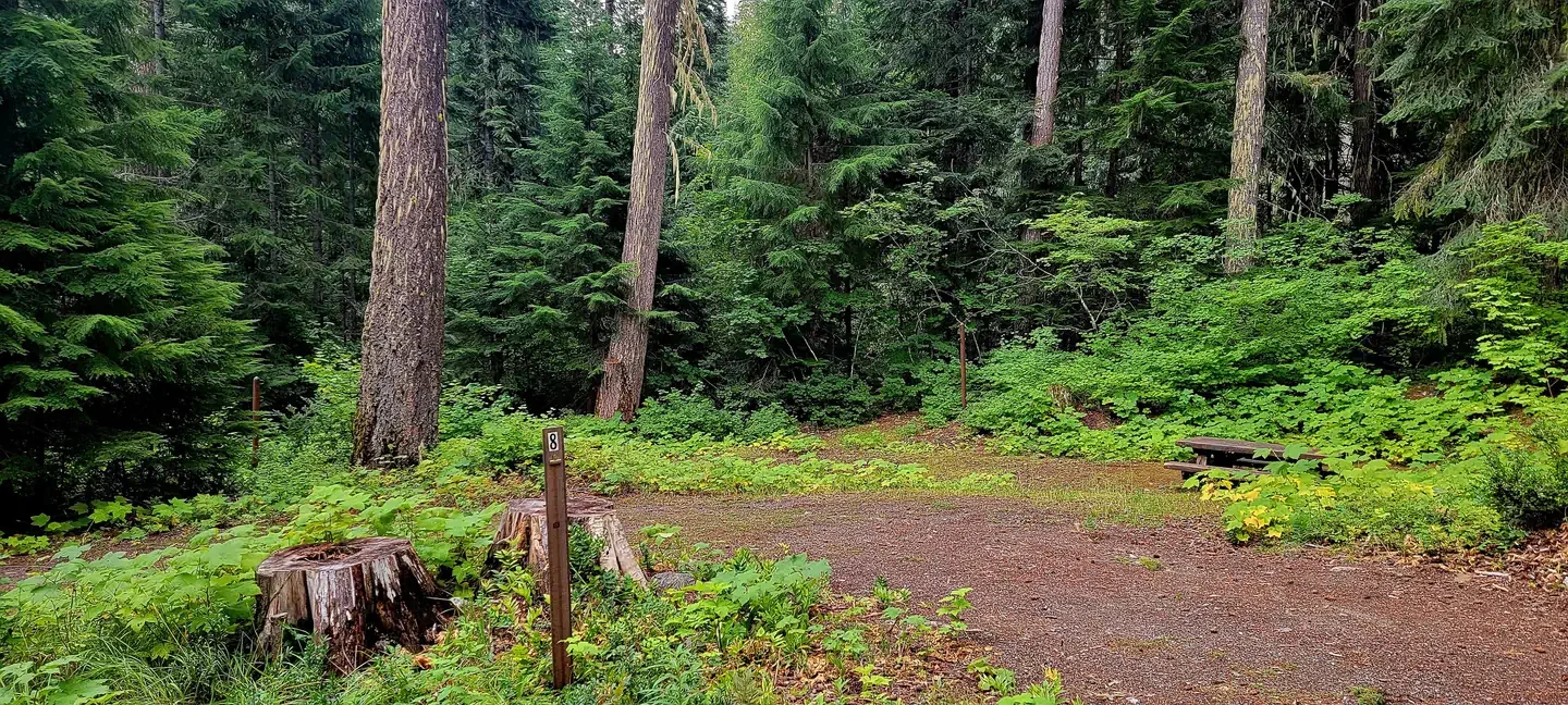 Blackpine CR Horsecamp