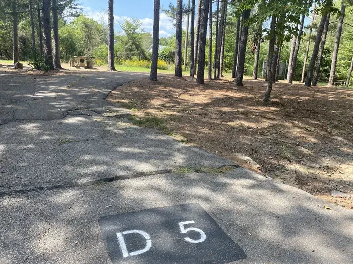D05