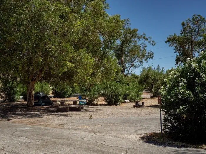 Site 33